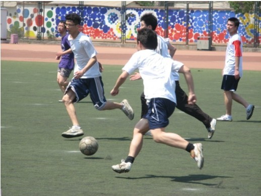 体移交中成 体移交中成