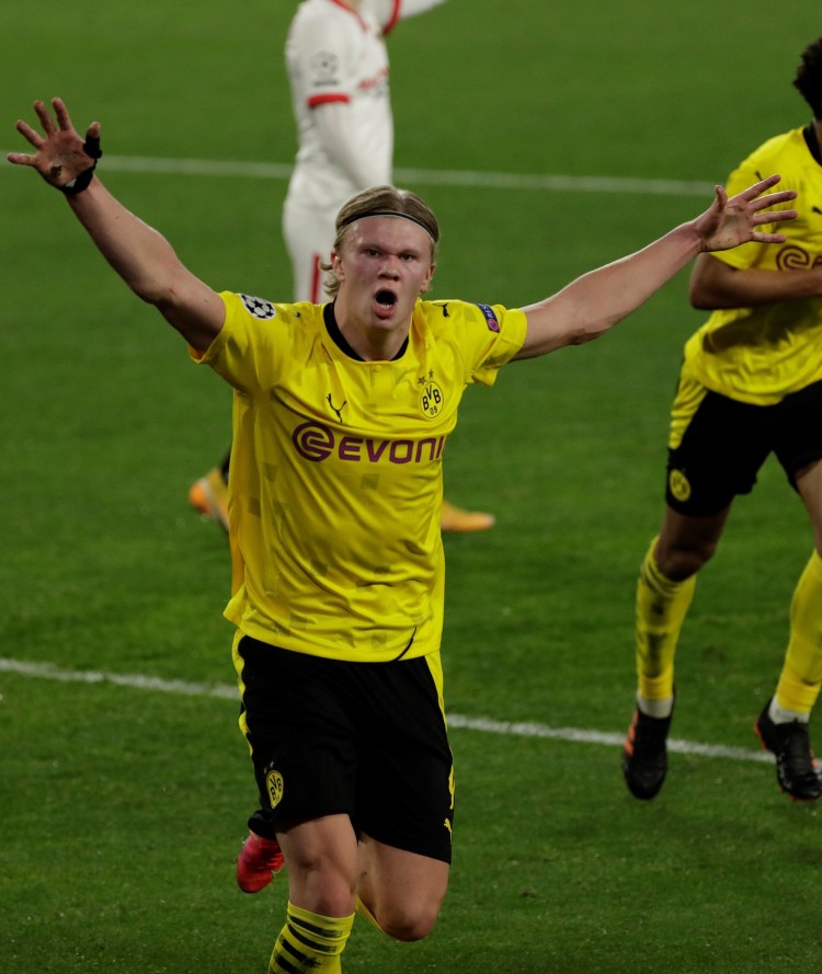 他们能与豪 他们能与豪