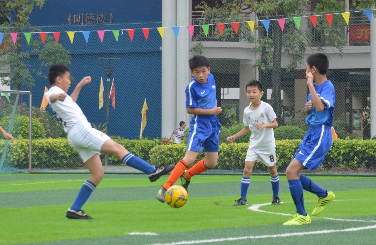 融入整体战 融入整体战