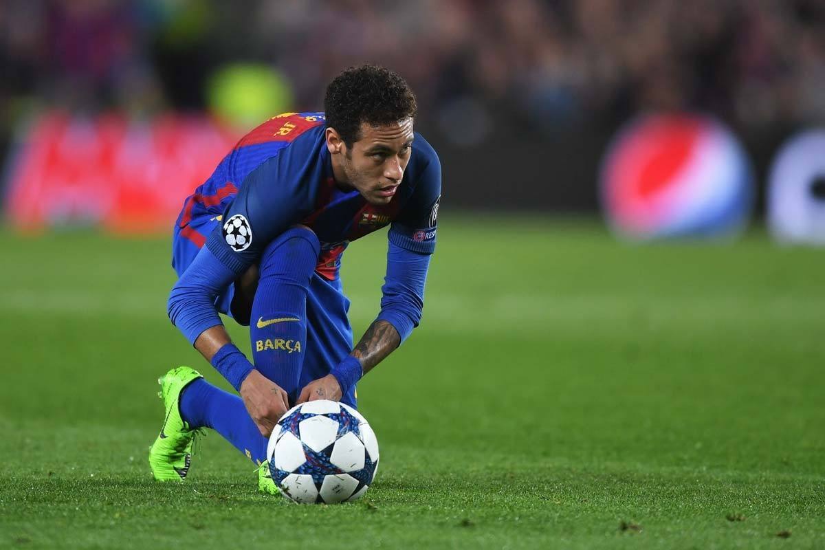 的灵活性 的灵活性