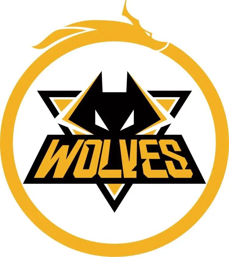 到再创作的 到再创作的